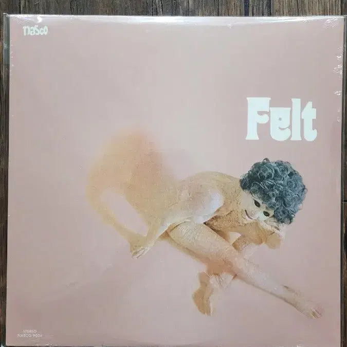 [BUNJANG] Felt 1971 Psych/Prog Rock Album / Felt. 1971년 미개봉 psych/prog rock