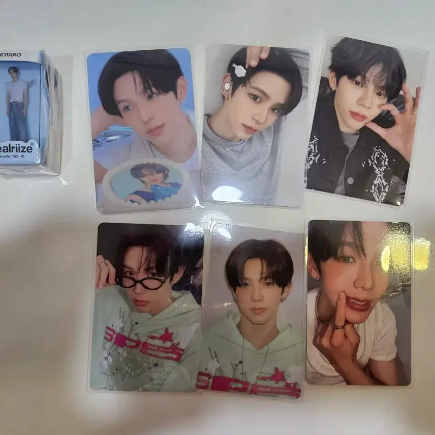 라이즈 시그 쇼타로