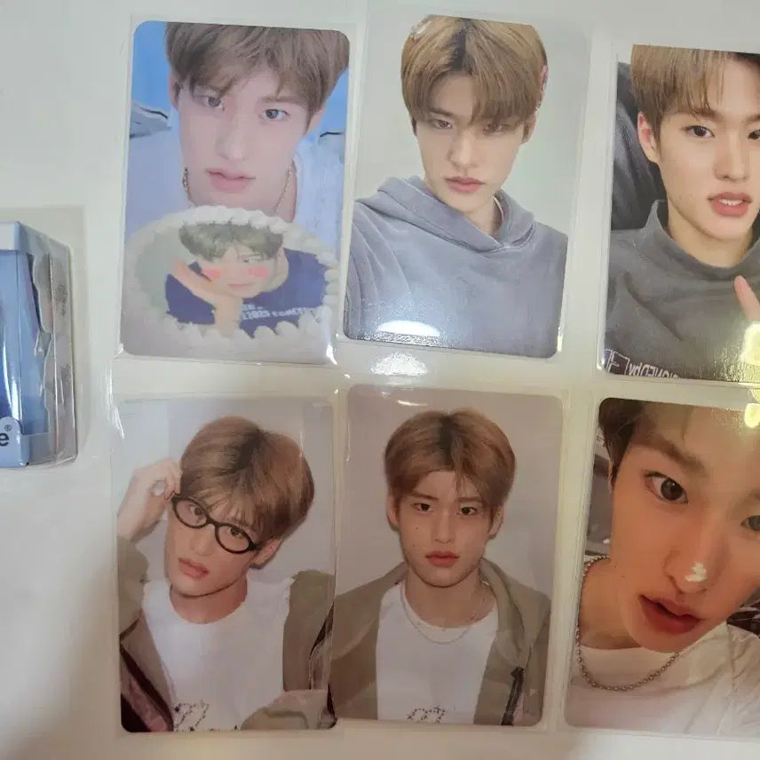 라이즈 소희 시그