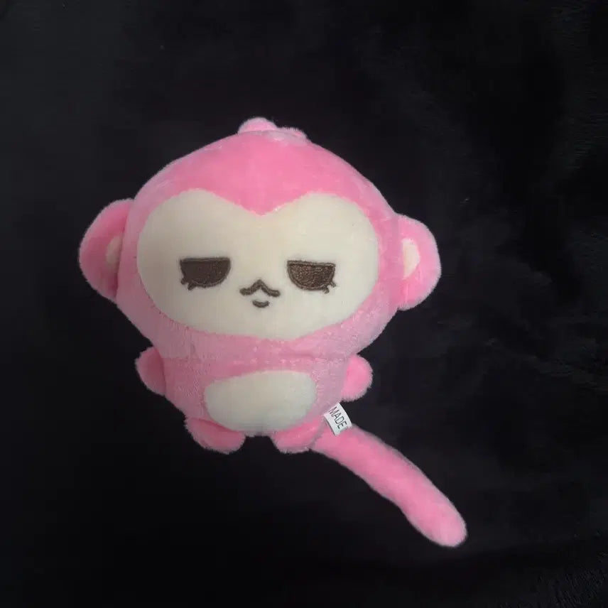 보이넥스트도어 보넥도 태산 인형 탯끼끼