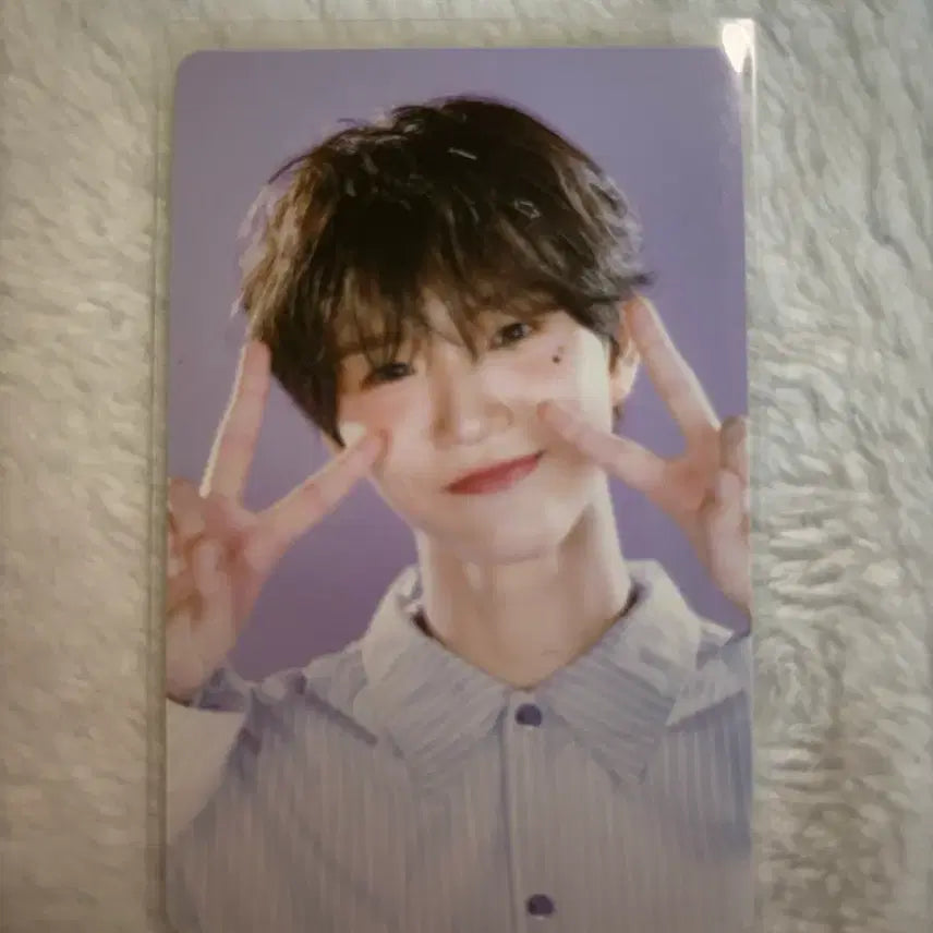 엔시티 위시 엔위시 재희 2025시즌그리팅 포카