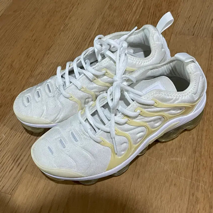 [BUNJANG] Nike Air VaporMax Plus 240 / 나이키 에어 베이퍼맥스 플러스 240