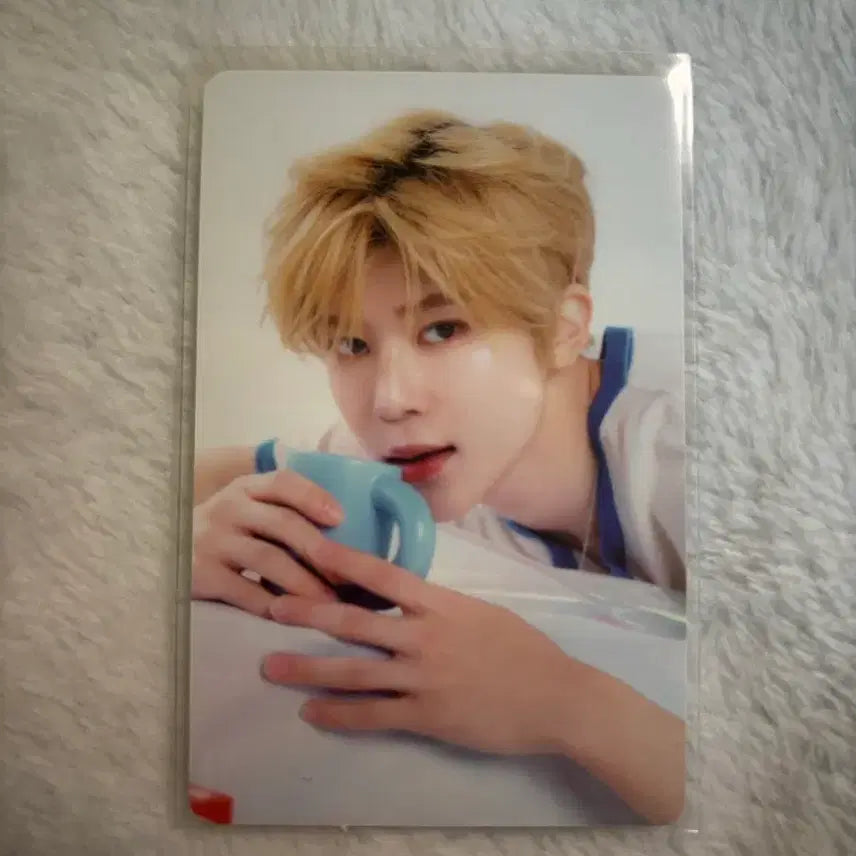 엔시티 위시 엔위시 시온 2025시즌그리팅 포카