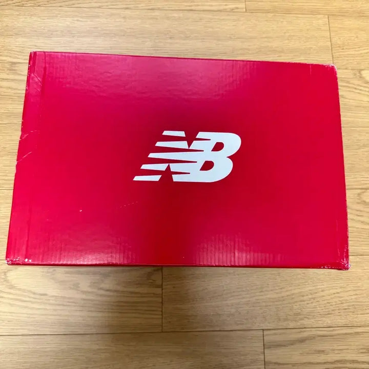 [BUNJANG] New Balance Level v4 Running Shoes / 뉴발 레벨 v4팝니다