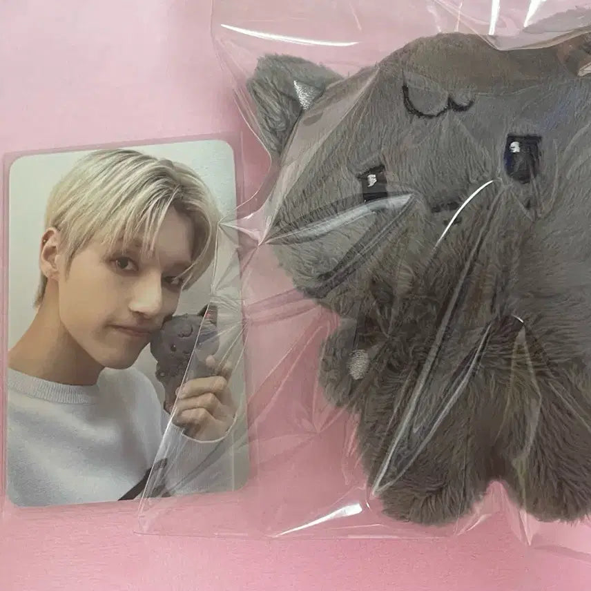 에이티즈 애니티즈 타이니티즈 우요냥