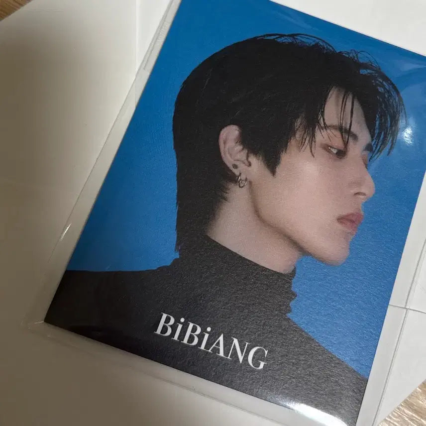 비비앙 보넥도 포스트카드 보이넥스트도어