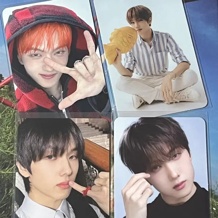 엔시티드림 지성포카일괄 스무디앨범케타미공포 2022핫트시그특전분철 nct