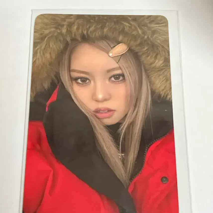 올데리프로젝트 베일리 특전 포카 양도