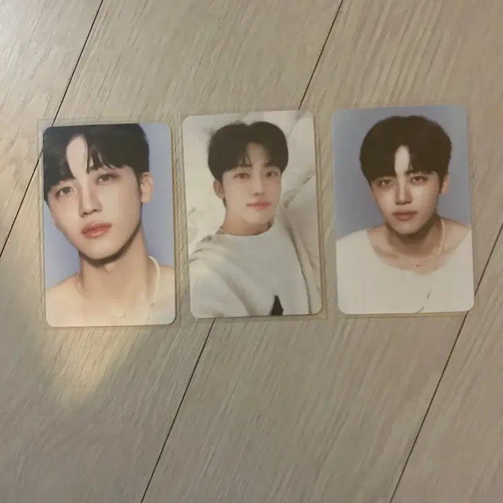 엔드림 공식 포카 39장 일괄