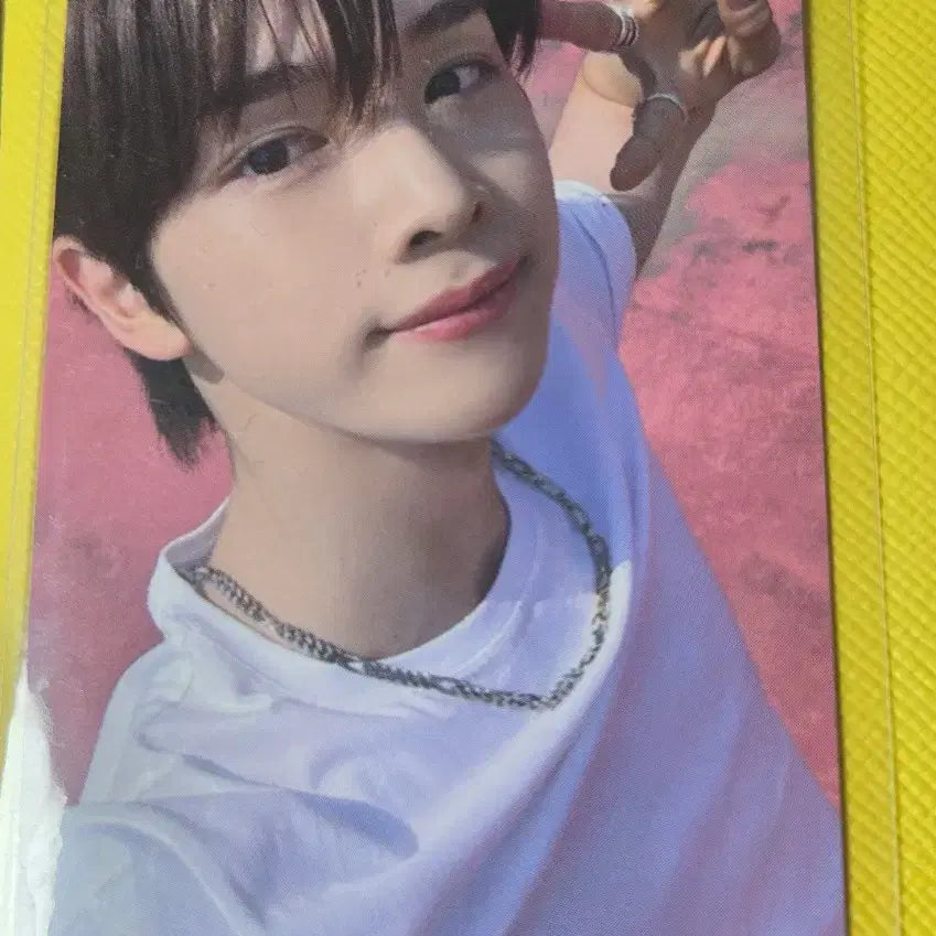 라이즈 성찬 포카