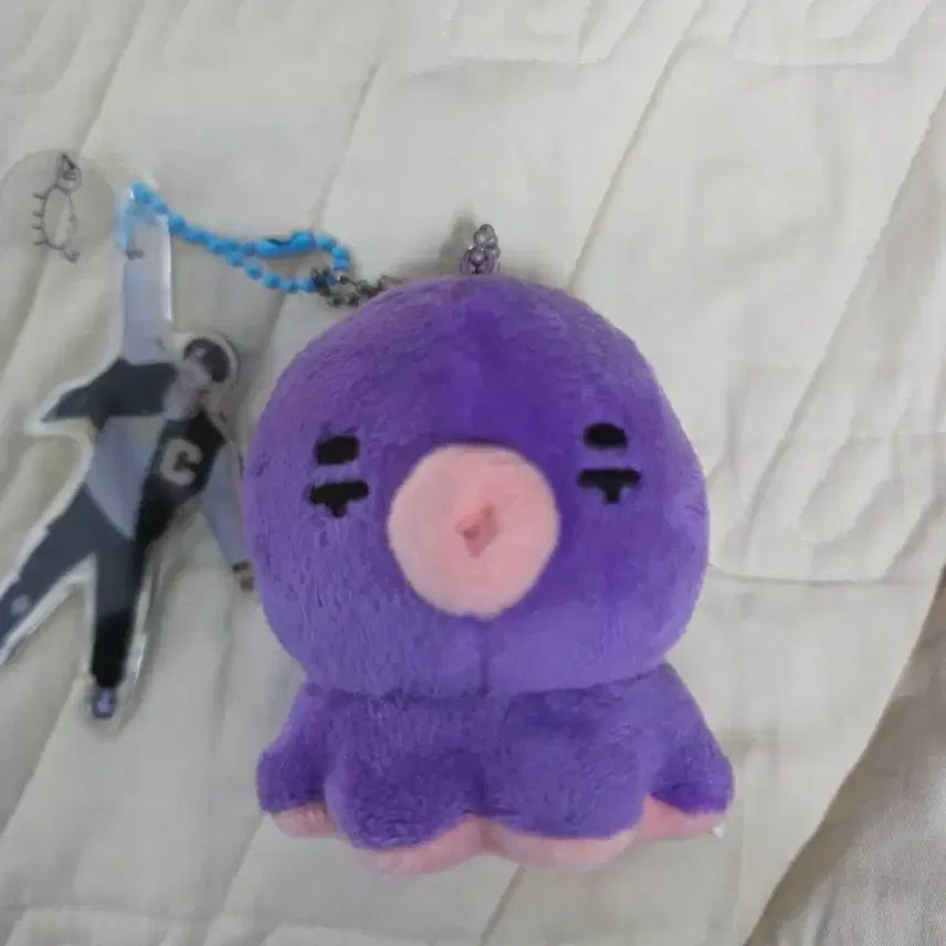 DKZ 재찬 재꾸미 판매