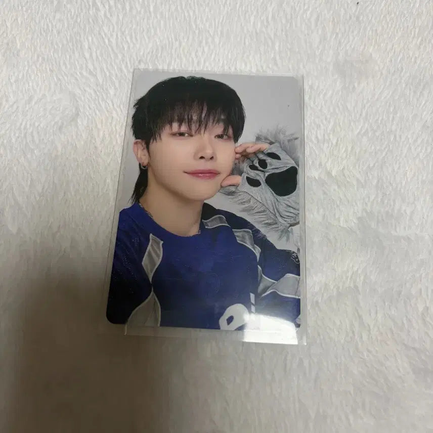 앤팀 니콜라스 앤데이 팬미팅 포카 양도 판매