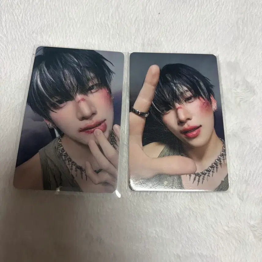 앤팀 유마 BTL 백투라이프 위버스 재팬 유니버셜 포카 양도 판매