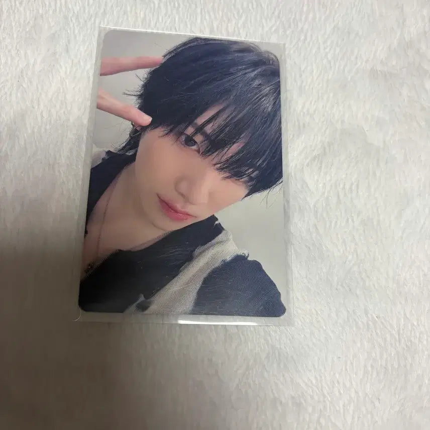 앤팀 유마 고인블 월랑 이즈위 팬싸 포카 폴라 양도 판매