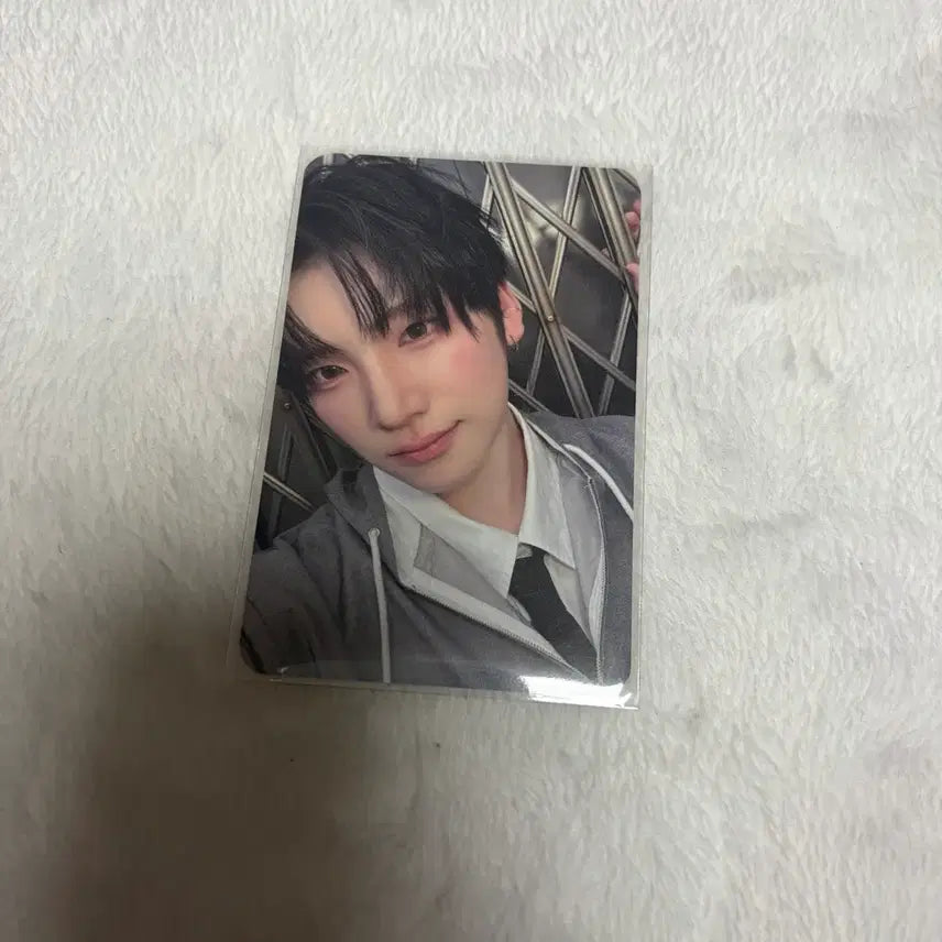 앤팀 유마 BTL 백투라이프 GS 지에스 포카 양도 판매