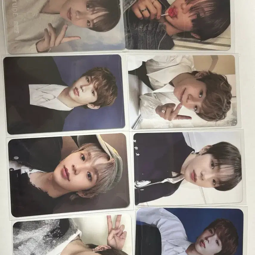 쇼타로 포카 일괄 양도