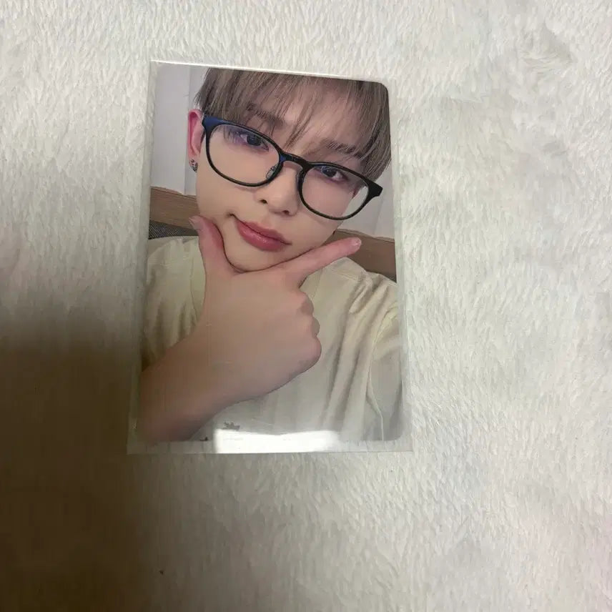 앤팀 하루아 고인블 월랑 이즈위 팬싸 포카 폴라 양도 판매