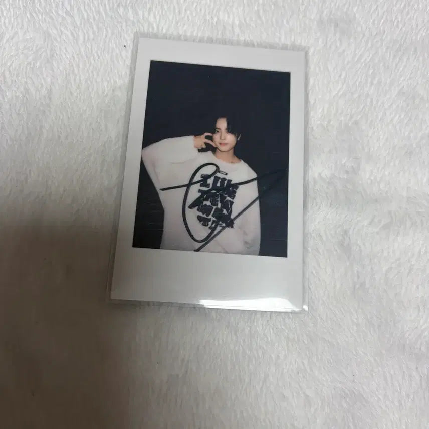 앤팀 타키 고인블 월랑 이즈위 팬싸 포카 폴라 양도 판매