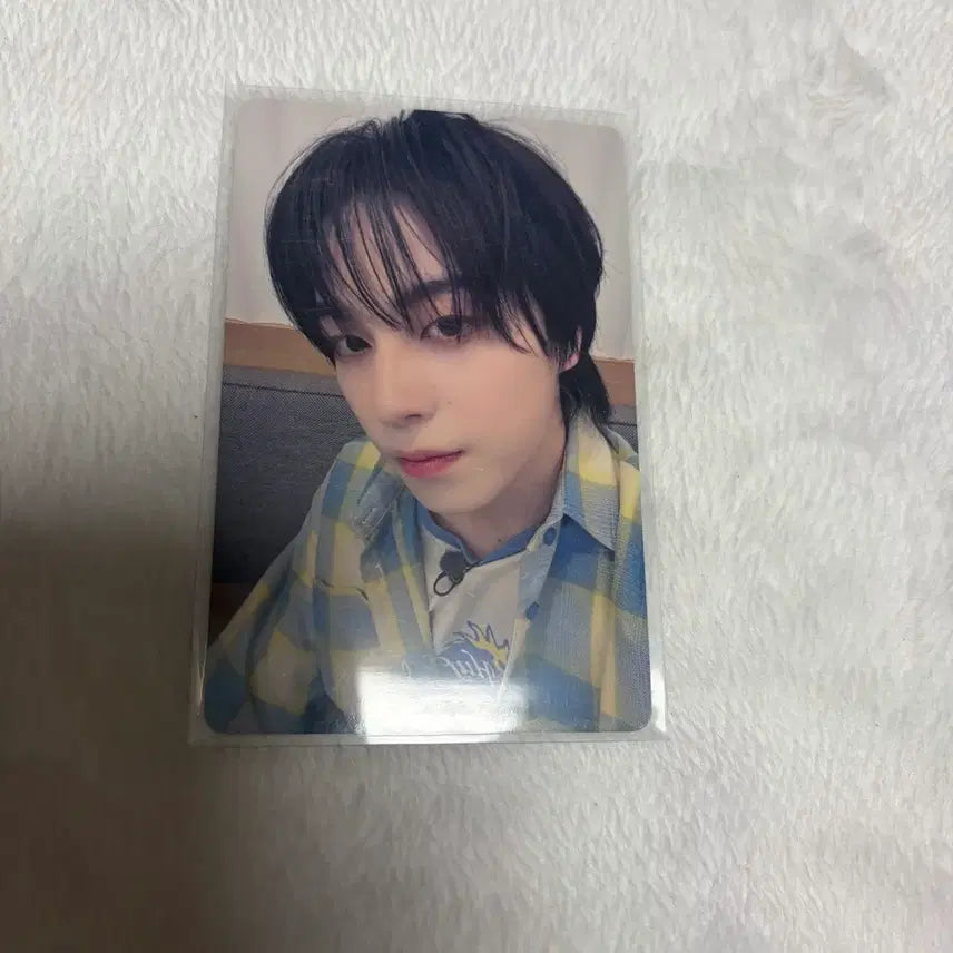 앤팀 타키 고인블 월랑 이즈위 팬싸 포카 폴라 양도 판매