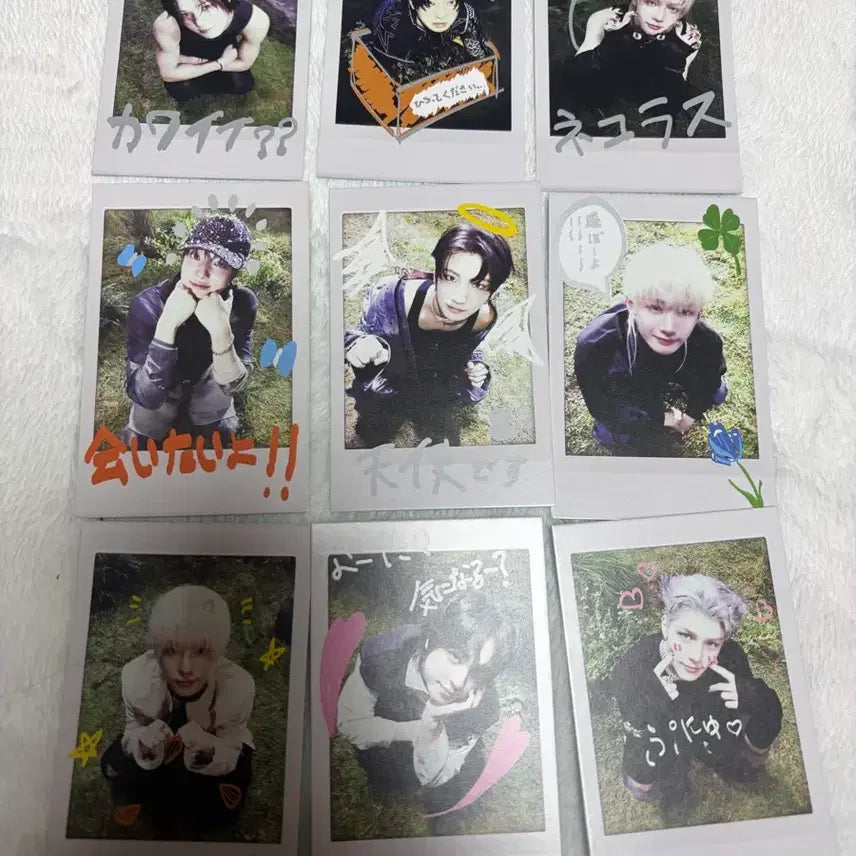 앤팀 BTL 백투라이프 포카 폴라 양도 판매 일괄 세트