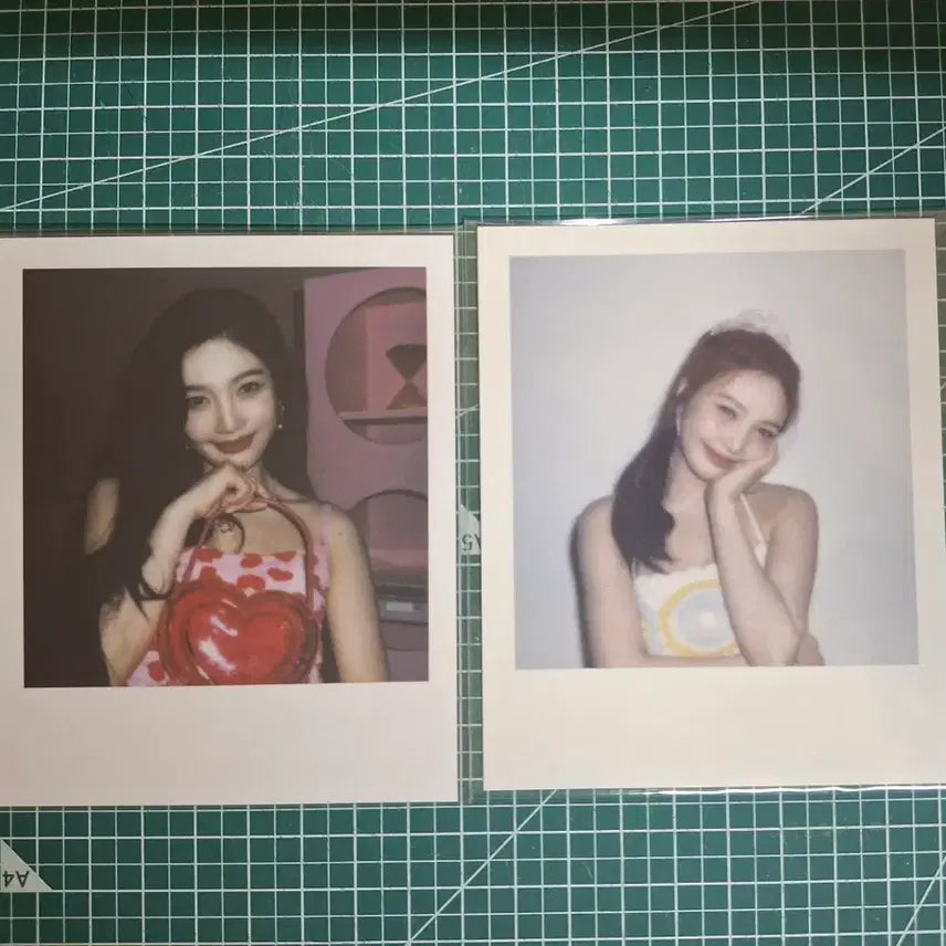 레드벨벳 조이 시그 폴라