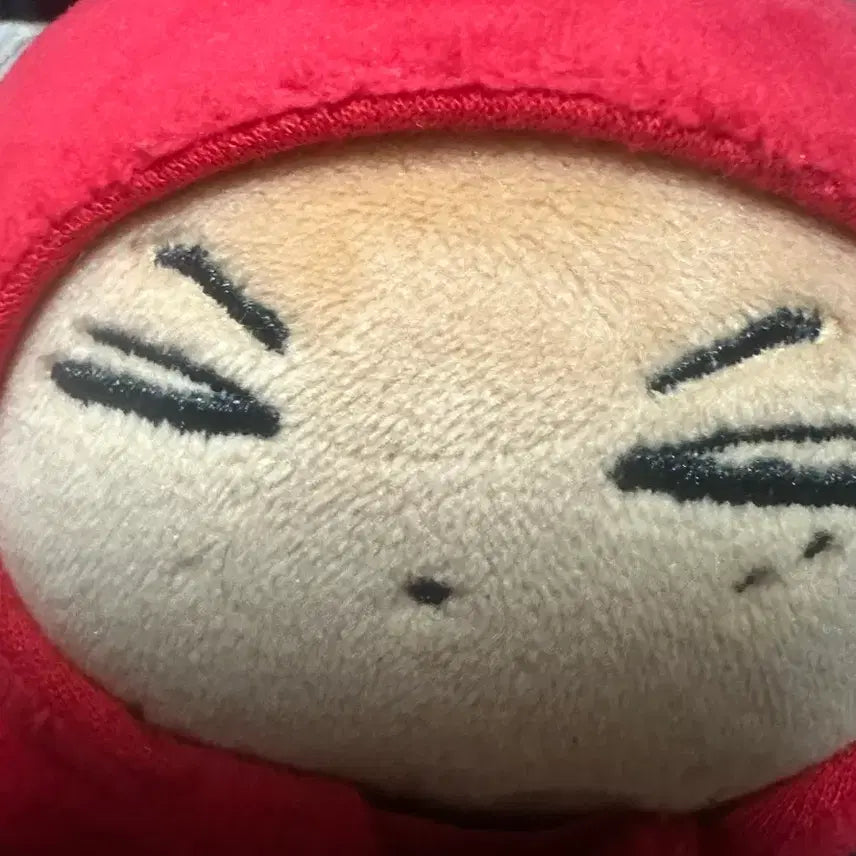 엔하이픈 제이 인형 쫑테이토