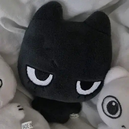 태냐코 10cm 양도