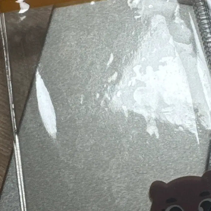 데이식스 미션 팝업 증사 라이센스 포카홀더 세트 판매