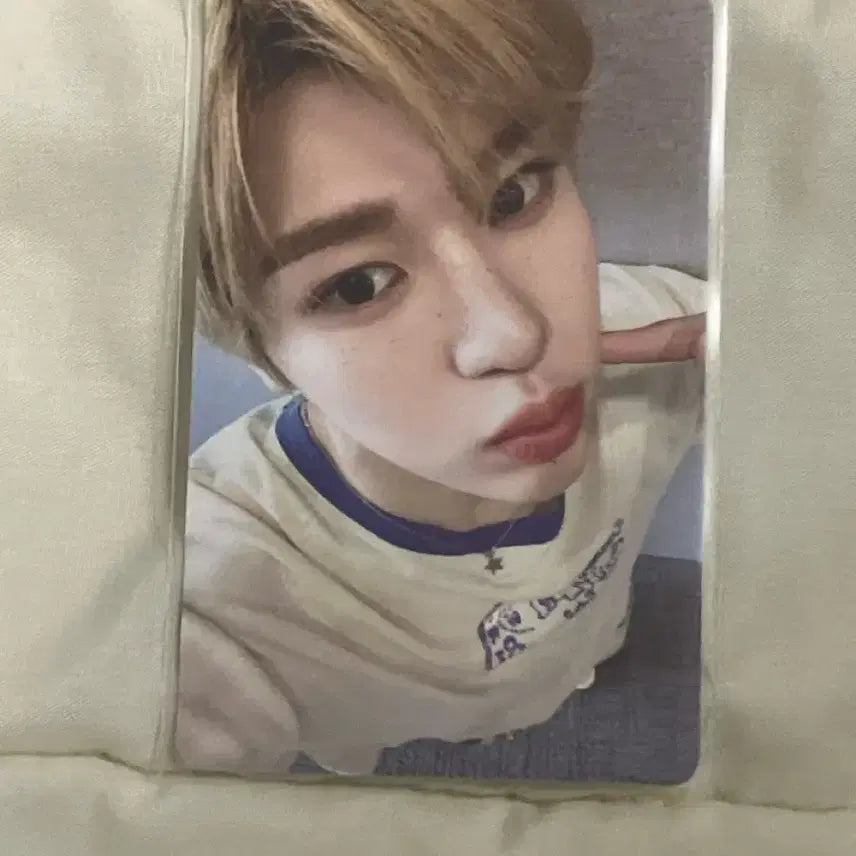 엔시티 위시 시온 포카