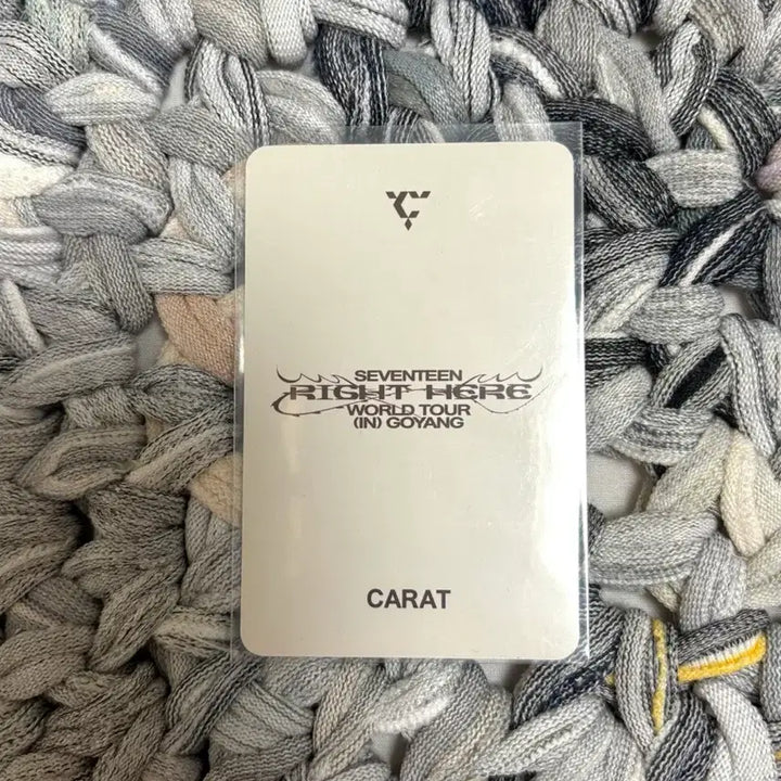 급처/폭덤)세븐틴 라잇히어 고양콘 캐럿존 정한 포카 양도