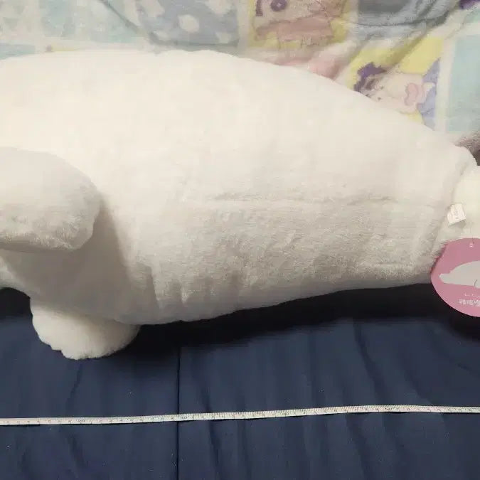 [BUNJANG] Beluga 70cm Plush Doll / 벨루가 대형인형 70cm
