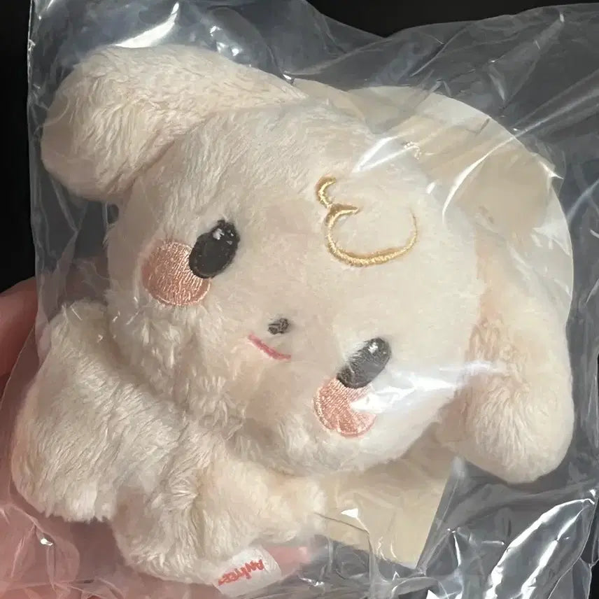 애니티즈 튜덩이