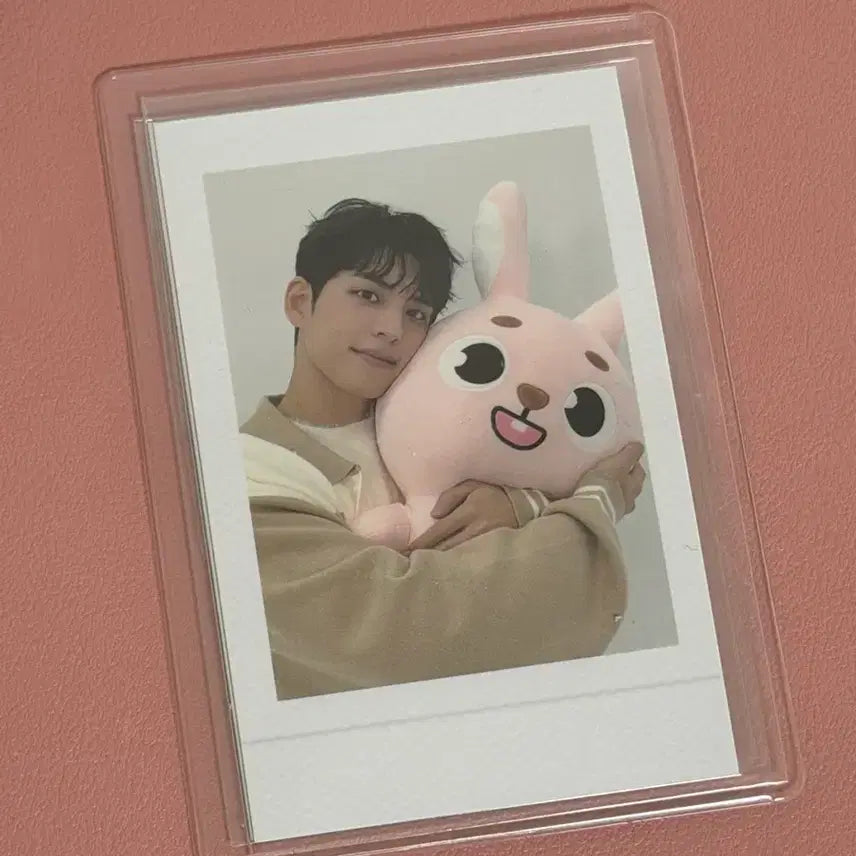 자이언트 데니멀즈 원필 포카