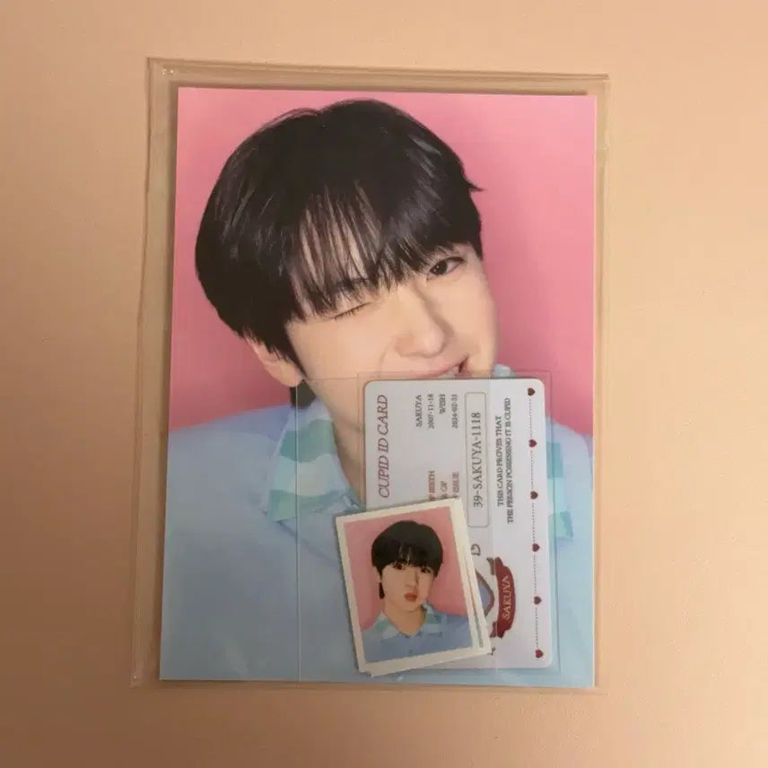 엔시티 위시 스테디 팝업 사쿠야 포토 세트 포토카드