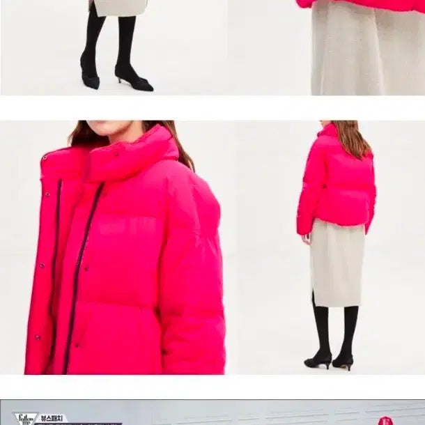 [BUNJANG] Mine Goose Down Short Padded Jacket / 마인 구스 다운패딩