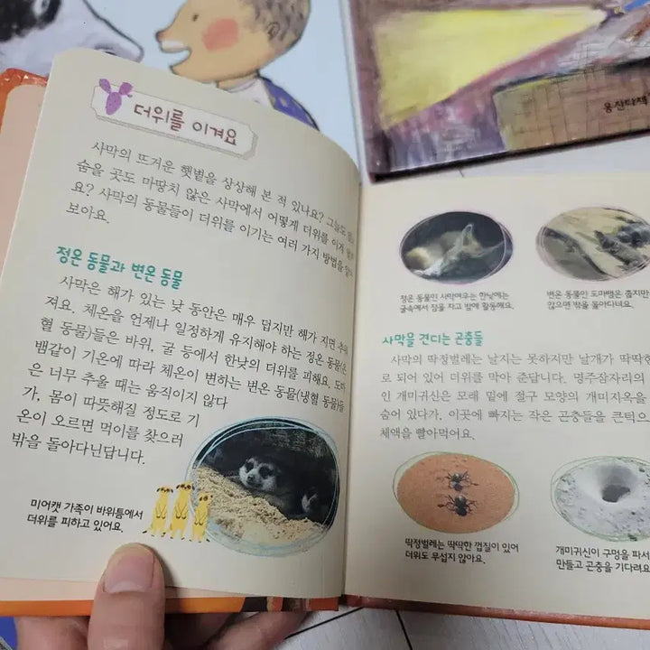 [BUNJANG] Children's Knowledge Picture Book Bundle / 지식 그림책 일괄