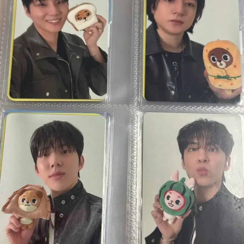 데이식스 포에버영 온라인 MD 포토카드 4종