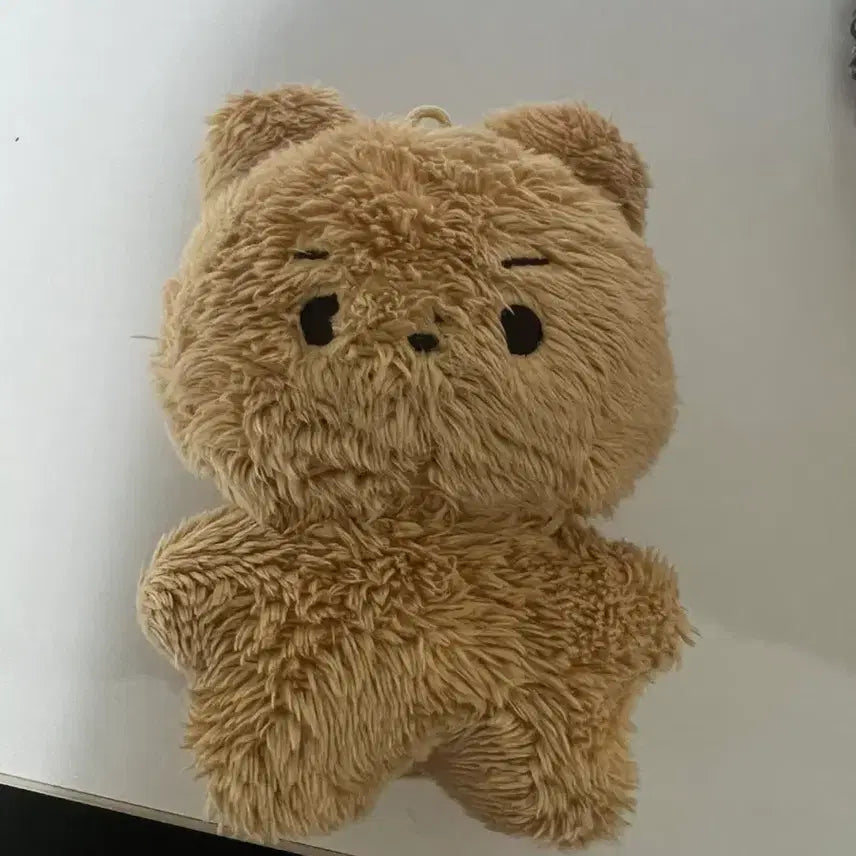 더보이즈 현재 인형 달곰이