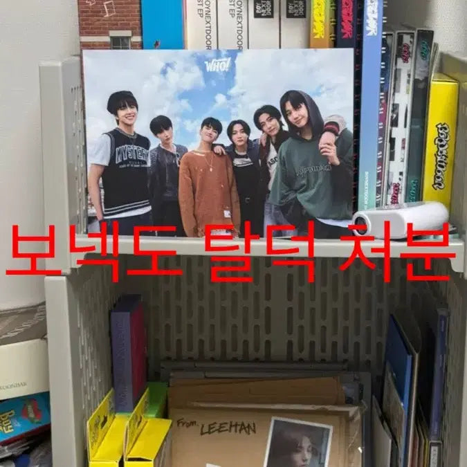 보넥도 탈덕처분 (전체로 한번에 팝니다)