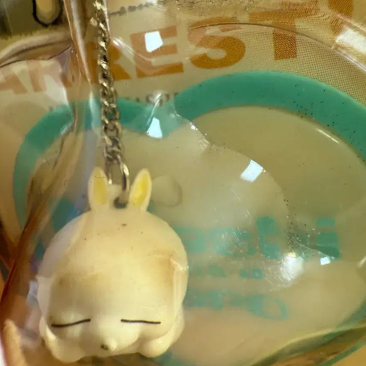 [BUNJANG] Mashimaro Plush / 마시마로