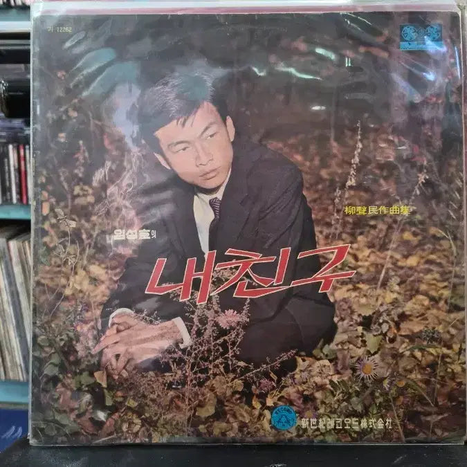[BUNJANG] Lim Seong-ho My Friend LP Record / 임성호 내친구 LP