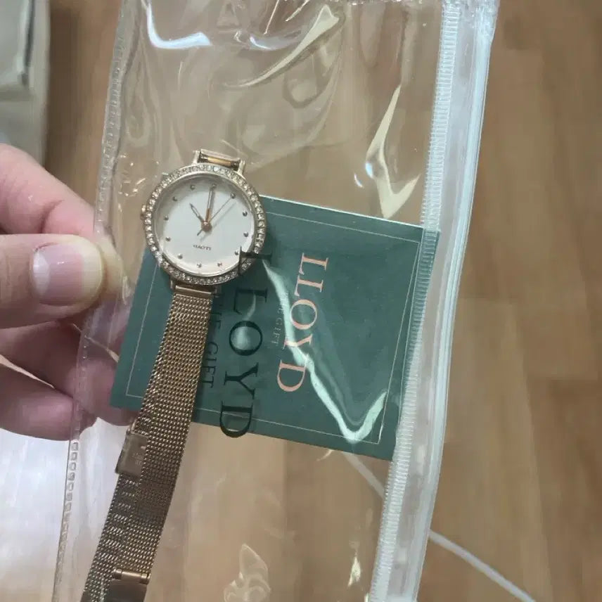 [BUNJANG] Lloyd Mesh Watch + Case / 로이드 메쉬 시계 + 케이스