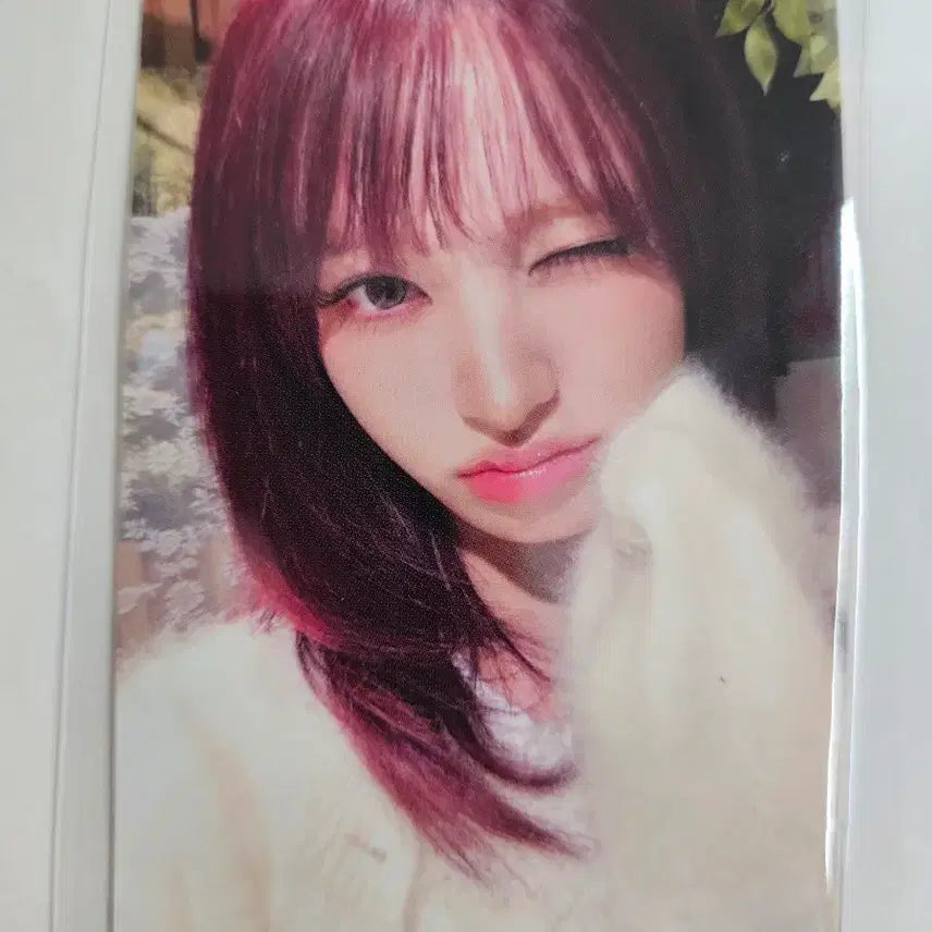 아이브  가요대제전 리즈 공방 포카 양도