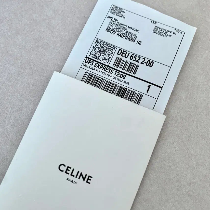 [BUNJANG] Celine Triomphe Round Tambourine Bag / 셀린느 트리오페 라운드 탬버린 백 가방