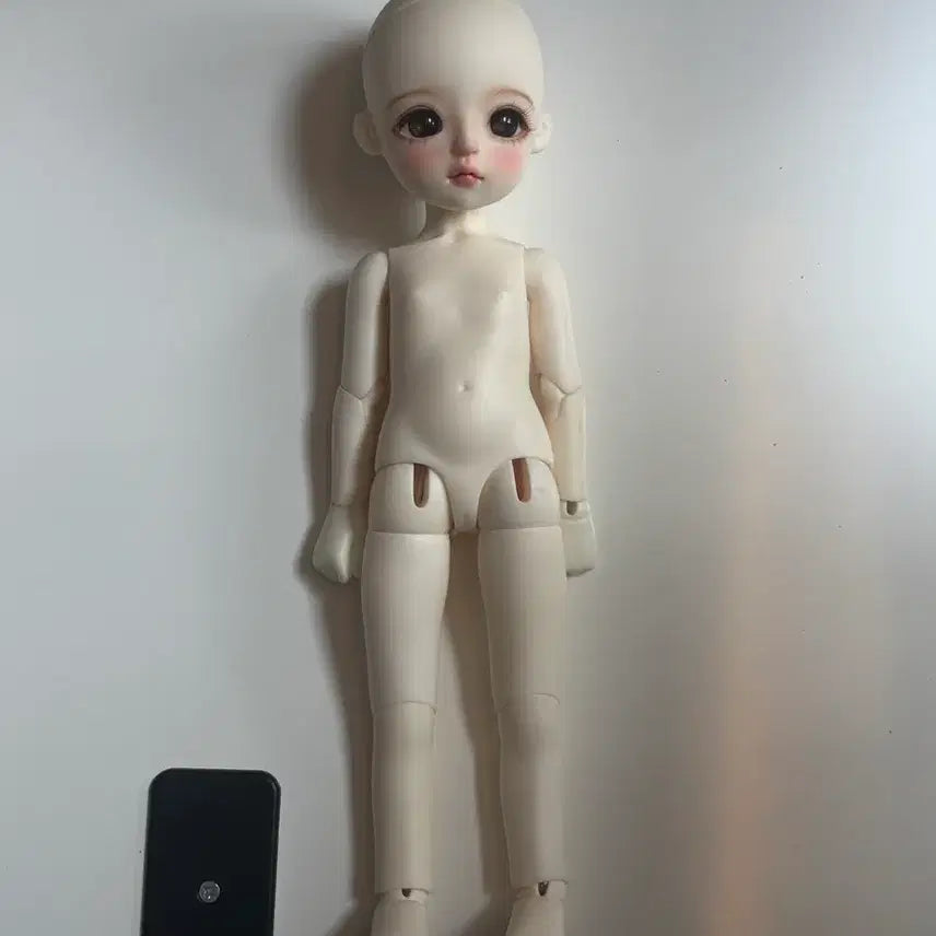 리나슈슈 멜리사