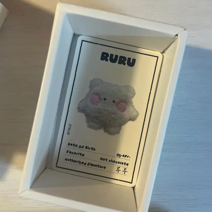 트레저 하루토 트루즈 루루 미니미니니