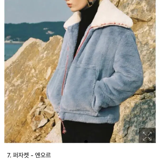 [BUNJANG] Enor Faux Fur Jacket / 엔오르 퍼자켓