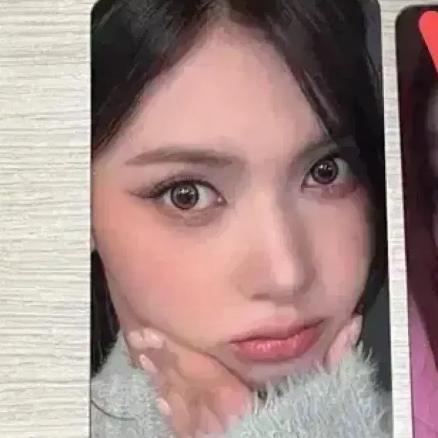 급처) 세이마이네임 헬로라이브 팬파티 카니 미공포