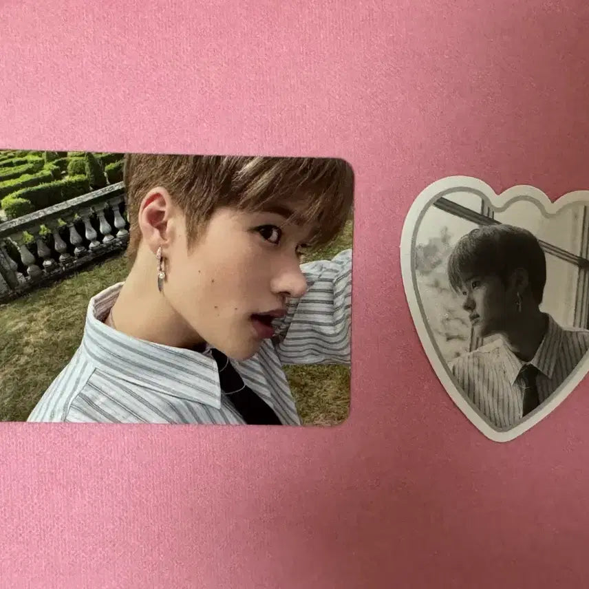 라이즈 FAME 포토북ver 소희 포카+북마크