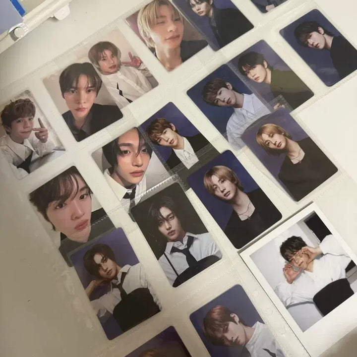 라이즈 시그 , 덤 폭탄!!! 처분목적!!